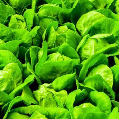 Ecocirplas: solución sostenible y circular al plástico de uso agrario