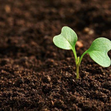 Ecocirplas: solución sostenible y circular al plástico de uso agrario