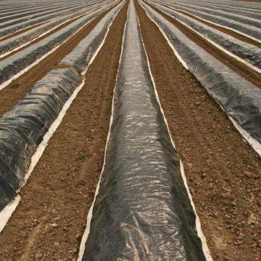 Ecocirplas: solución sostenible y circular al plástico de uso agrario