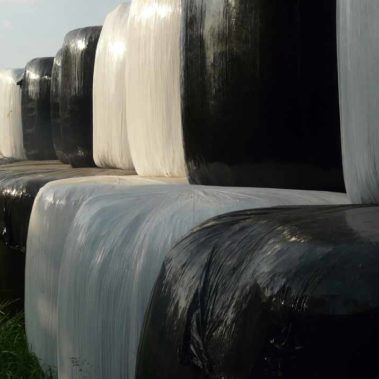 Ecocirplas: solución sostenible y circular al plástico de uso agrario
